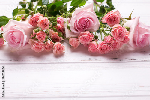 Border from tender pink roses flowers  on  white wooden background.