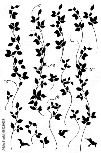植物のイラスト
