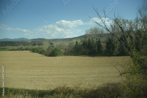 Vistas de la campiña italiana, italia, Europa verde photo