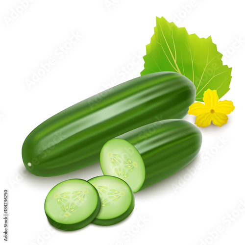 Realistic Detailed 3d Green Whole Cucumber and Slices. Vector