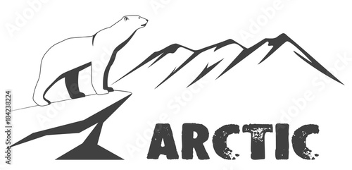 Drawing a polar bear against the background of the mountains.