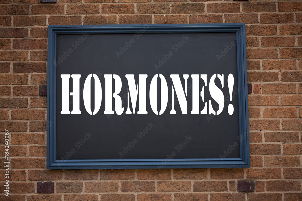 Obraz premium Conceptual hand writing text caption showing announcement Hormones. Business concept for Hormone Pill written on frame old brick background and copy space
