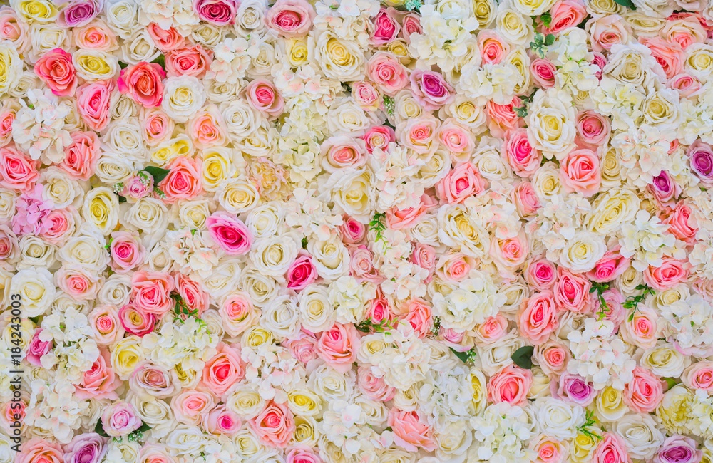 Obraz premium kwiat róży tło