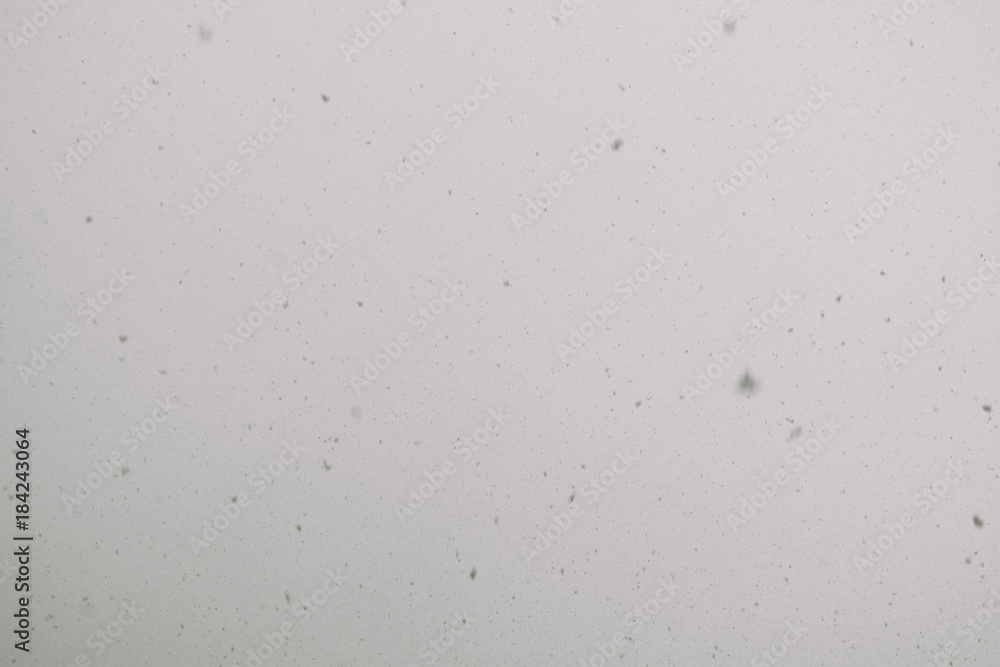 Snow Fall Macro Snow Fall Macro