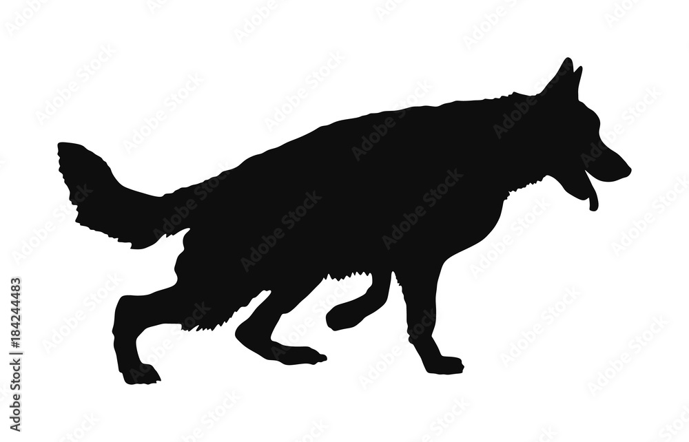 Portrait of German Shepherd running dog vector illustration isolated. German Shepherd silhouette. Beware of dog.