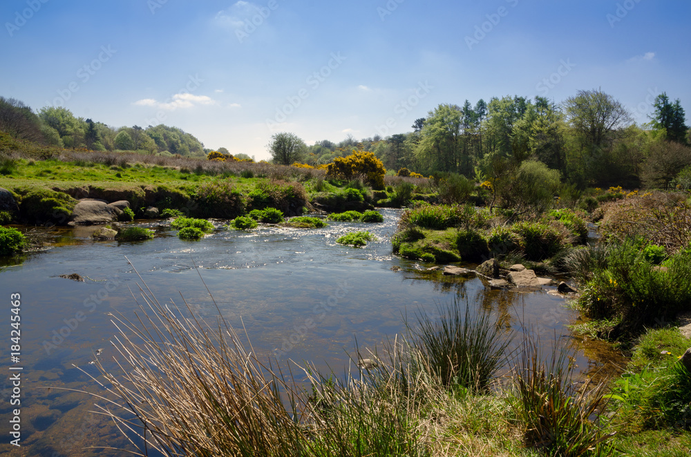 The Dart River In Early Spring Season At Postbridge, Dartmoor National Park, England