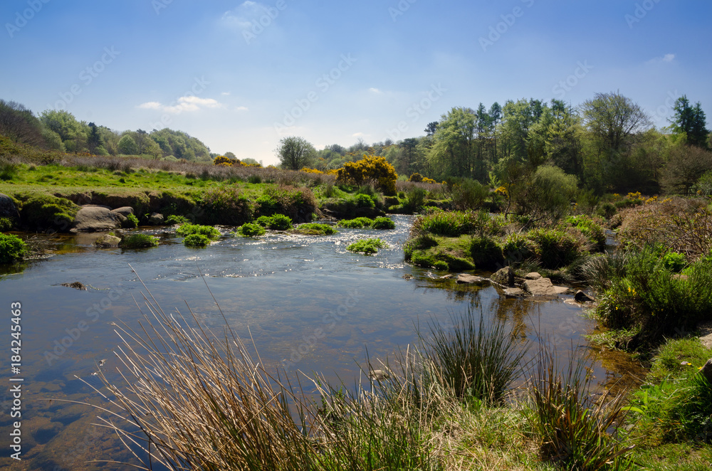 The Dart River In Early Spring Season At Postbridge, Dartmoor National Park, England The Dart River In Early Spring Season At Postbridge, Dartmoor National Park, England