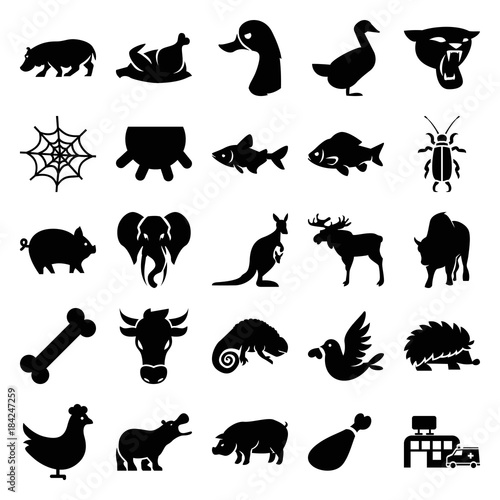 Set of 25 animal filled icons