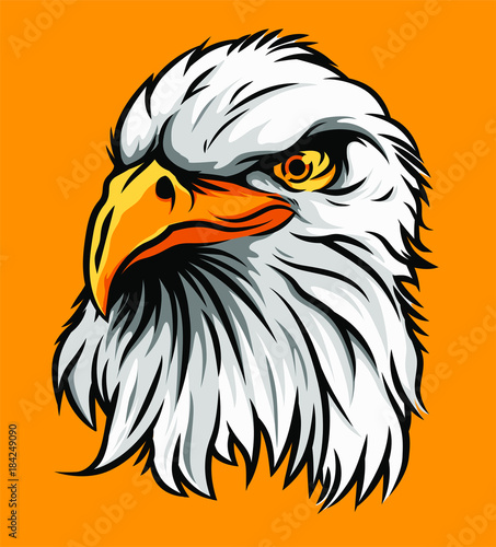 American Eagle Head Illustration Vector