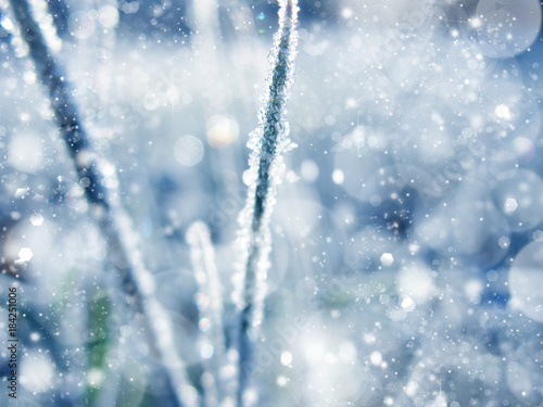 abstract background soft blurred christmas lights garland