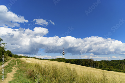 Wiese auf der Sophienalpe nahe Wien