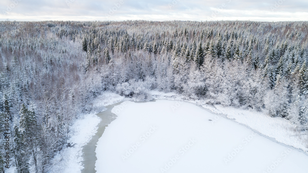 Obraz premium Winter season aerial view of frozen lake in the middle of forest.