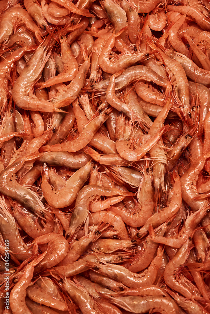 fresh raw shrimp