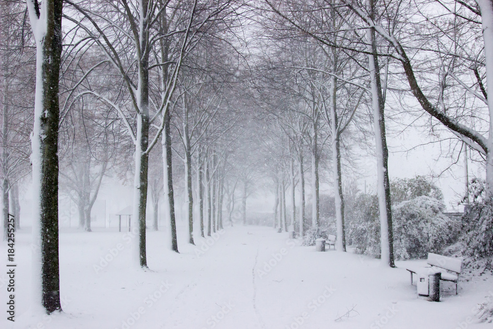 Schnee Alee Schnee Alee