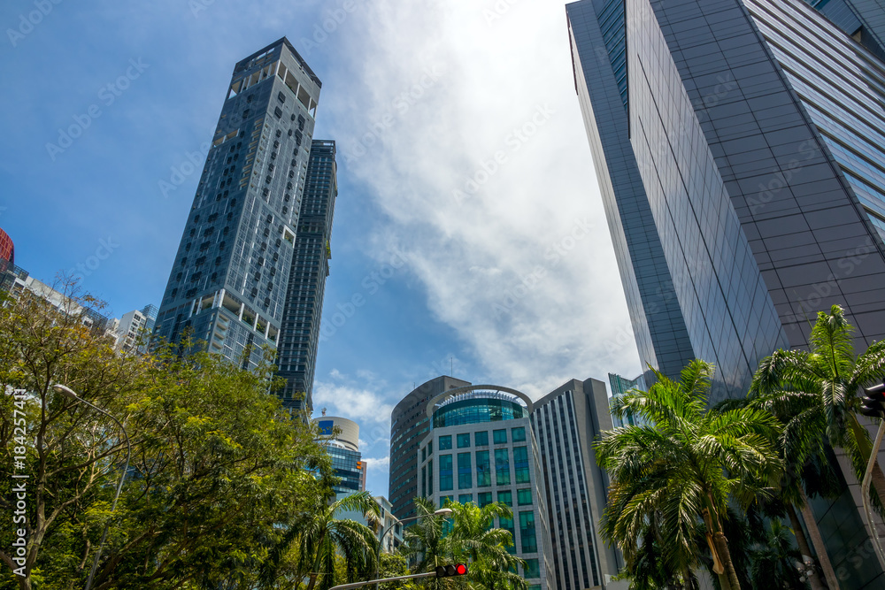 Fototapeta premium Palms and Skyscrapers on Singapore Street