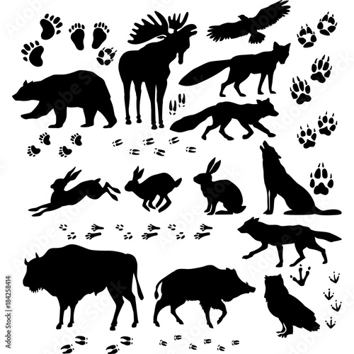 Wild animals and birds silhouette