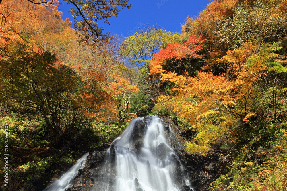 秋晴れの開運出世の滝 Good luck career waterfall / Sakata, Yamagata, Japan 秋晴れの開運出世の滝 Good luck career waterfall / Sakata, Yamagata, Japan