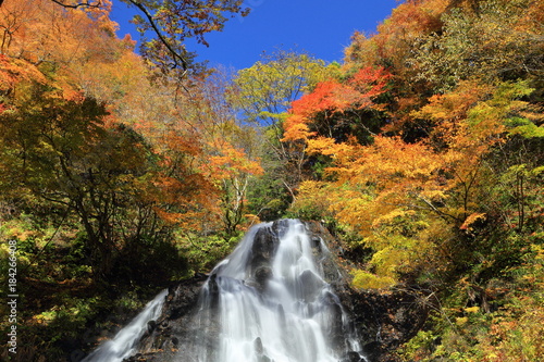秋晴れの開運出世の滝 Good luck career waterfall / Sakata, Yamagata, Japan
