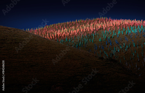  Hill full of prayer flags in Sedah, Sichan, China photo