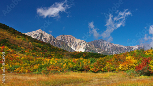 JAPAN HAKUBA