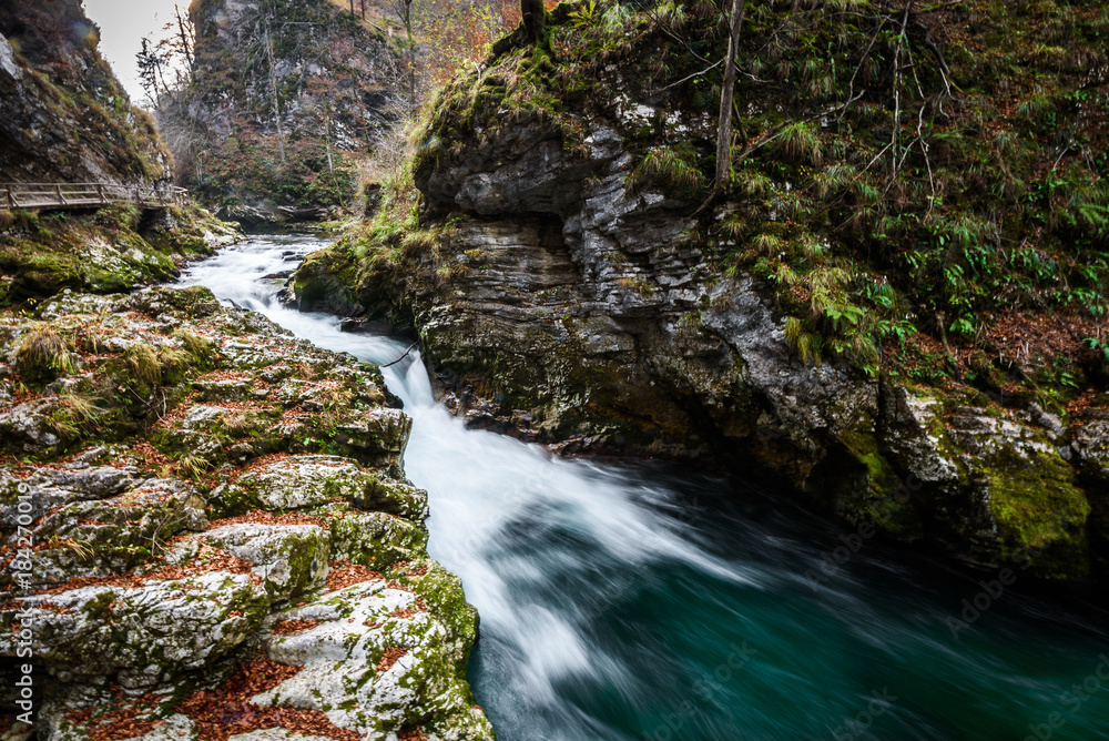Obraz premium Soteska Vintgar, The Vintgar Gorge or Bled Gorge in Slovenia.