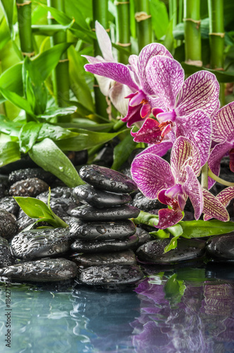 stack stones , pink orchid and bamboo in the waters drops