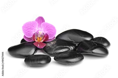 spa symbol with orchid and black stones isolated on white background