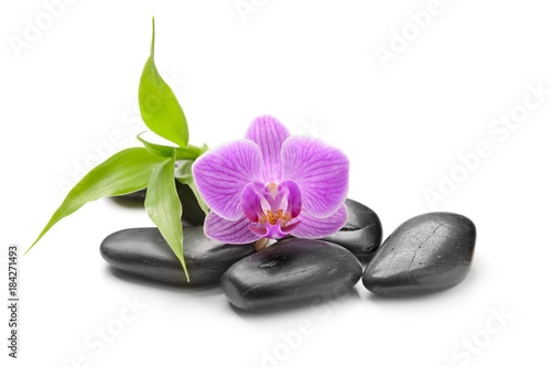 spa symbol with orchid and black stones isolated on white background