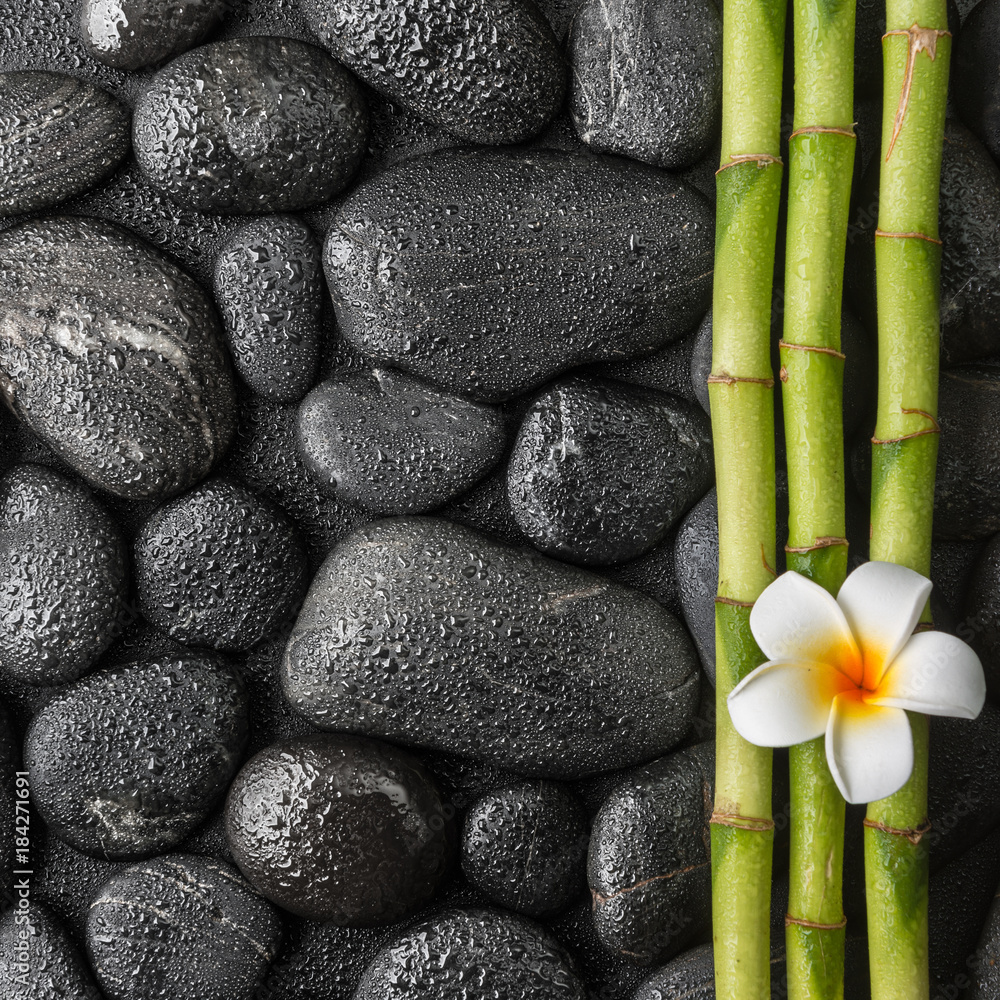 Fototapeta plumeria i bambusowy gaj na czarnych kamieniach w kroplach wody