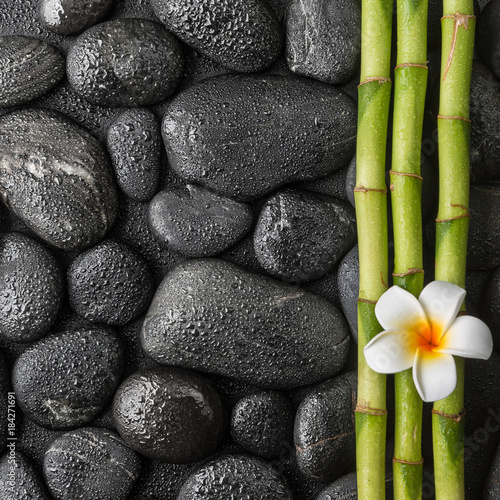 plumeria and bamboo grove on the black stones in water drops