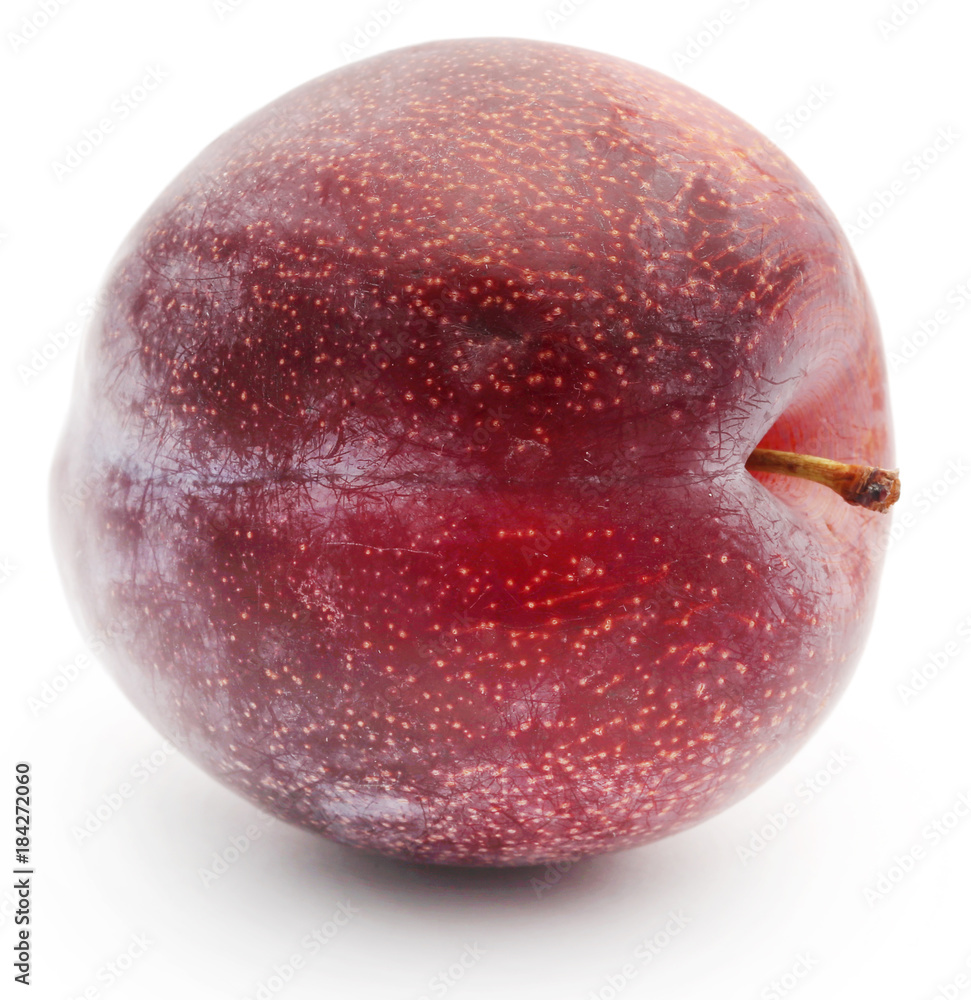 Fototapeta premium Blommer the finest Dansih plum