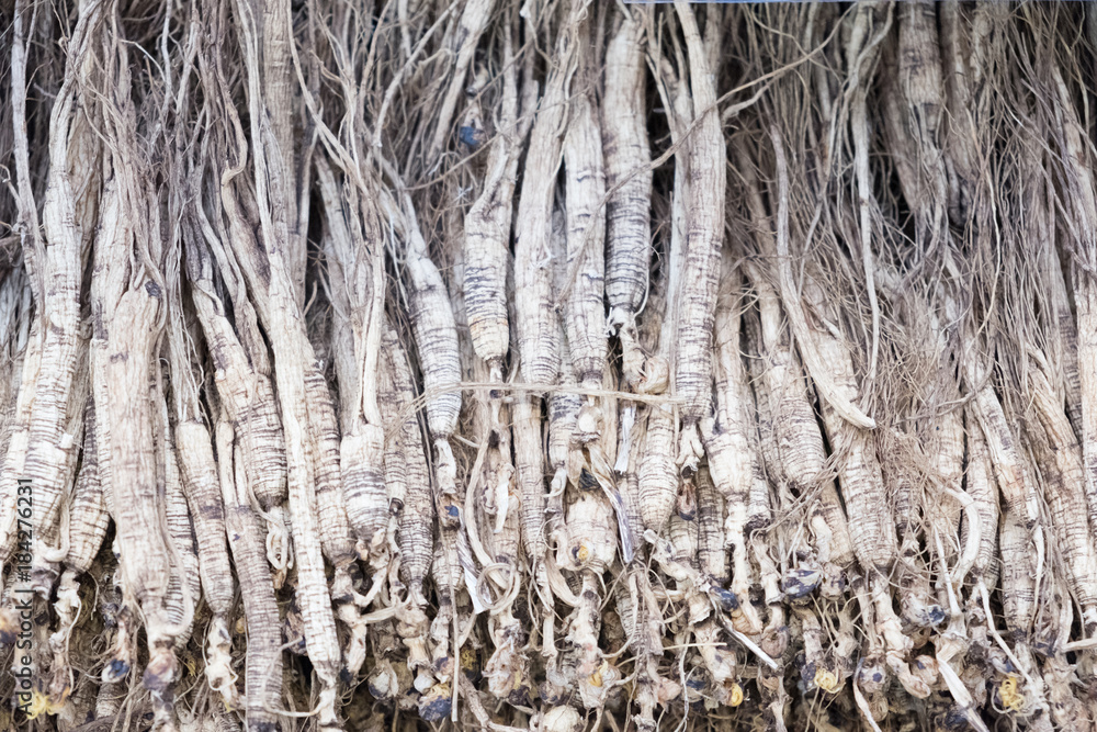 Dry Ginseng Roots on background closeup photo Dry Ginseng Roots on background closeup photo
