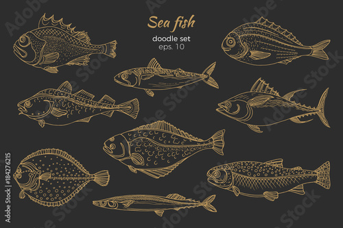 Set of golden sea fish. Doodle vector