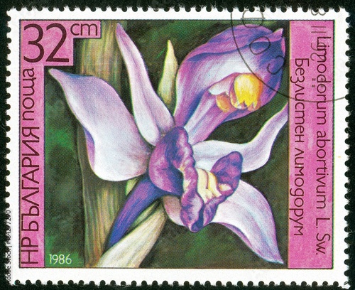 UKRAINE - circa 2017: A postage stamp printed in Bulgaria shows Orchid Limodorum abortivum, Series Orchids, circa 1986 photo