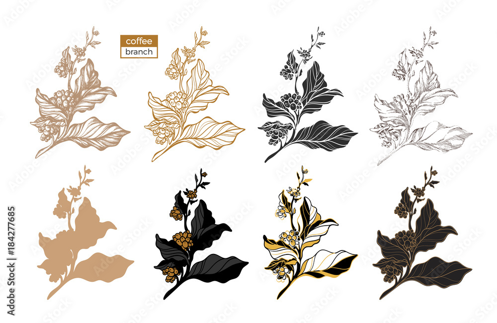 Vector set of coffee tree branch Stock Vector | Adobe Stock