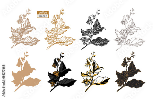 Vector set of coffee tree branch