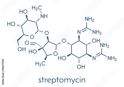 Streptomycin tuberculosis antibiotic (aminoglycoside class) molecule. Skeletal formula.