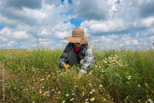 Happy woman collecting medicinal herbs