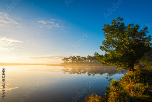 Fog rises over Marsh Lake at sunrise in Pine forest © songdech17