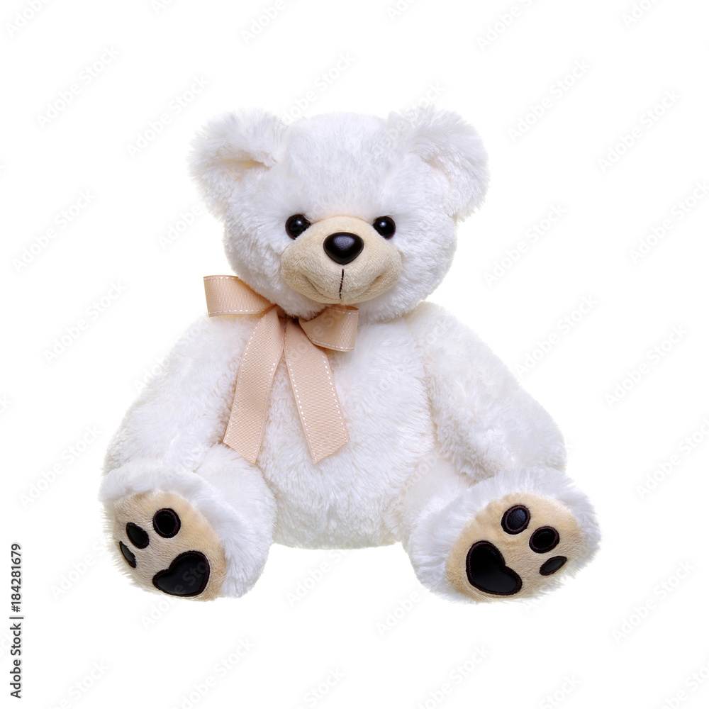 Teddy bear on a white Teddy bear on a white