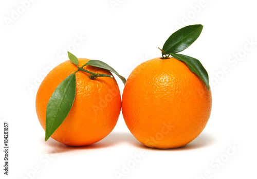  orange fruit isolated on white