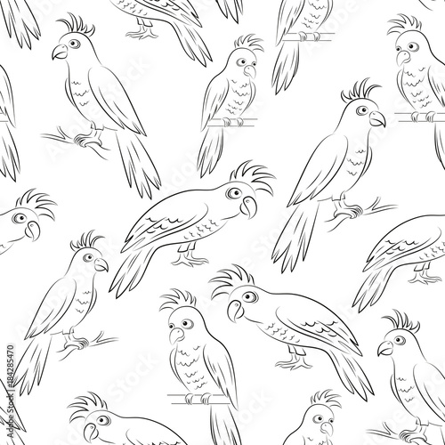 Seamless Pattern, Cartoon Birds Parrots, Outline Pictograms, Black Contours Isolated on Tile White Background. Vector