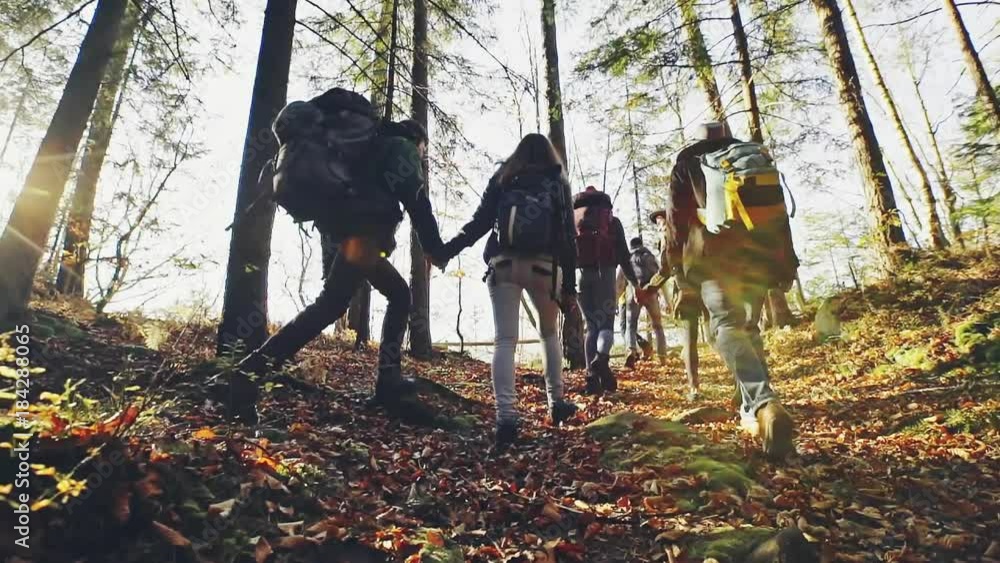 Cheerful tourists wear jackets and backpacks have walk through forest. Cheerful tourists wear jackets and backpacks have walk through forest.