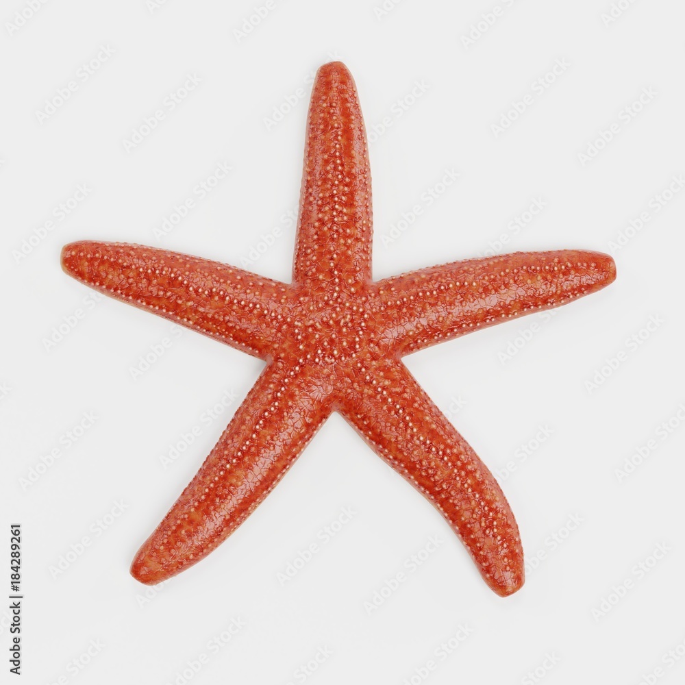 Realistic 3D Render of Starfish Realistic 3D Render of Starfish