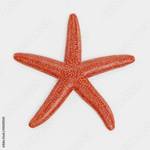 Realistic 3D Render of Starfish
