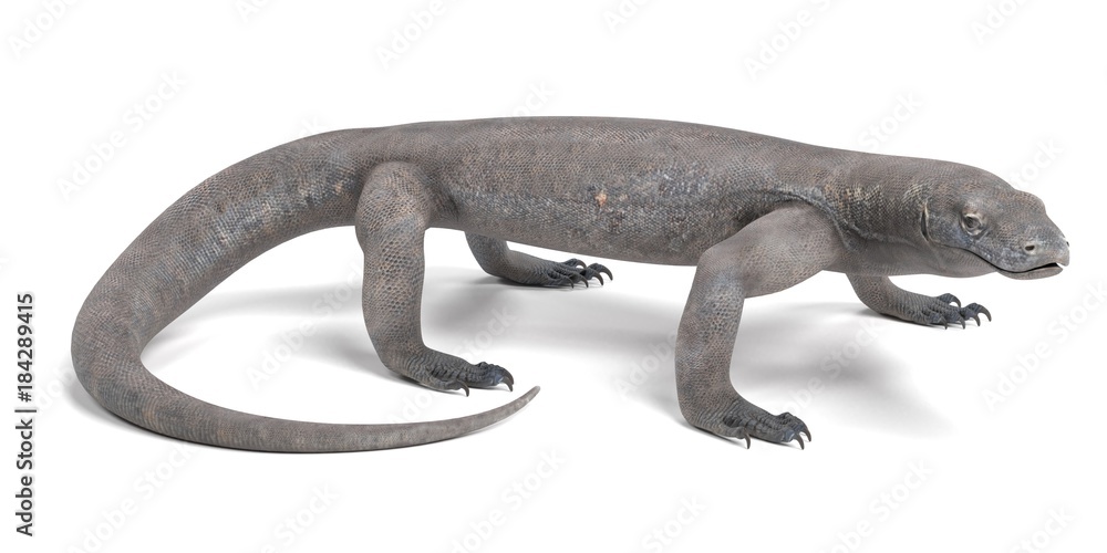 Realistic 3D Render of Komodo Dragon