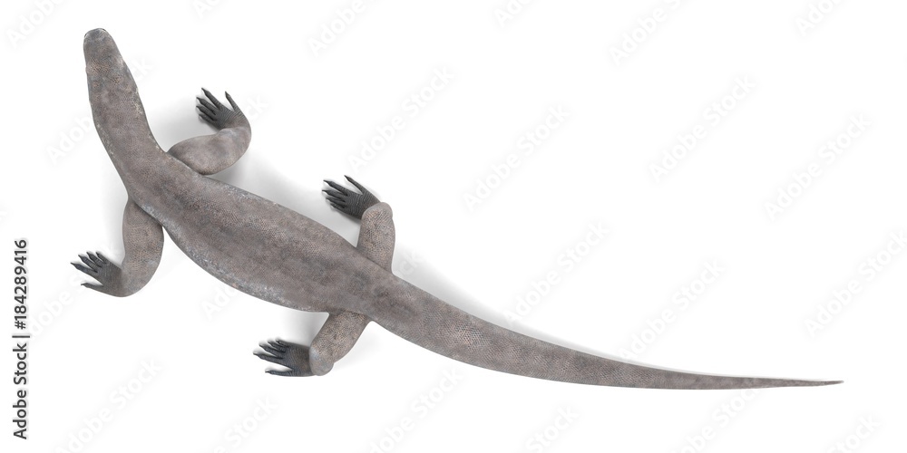Realistic 3D Render of Komodo Dragon Realistic 3D Render of Komodo Dragon