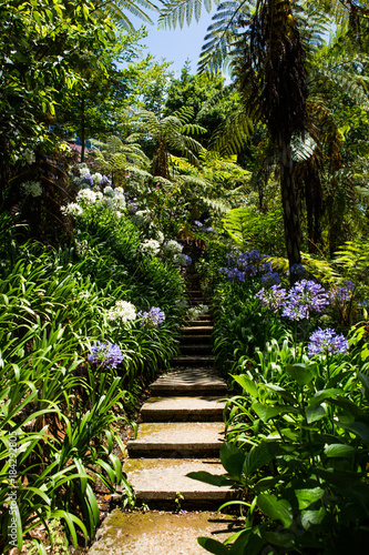 Gartenpfad - Gardening - tropical garden