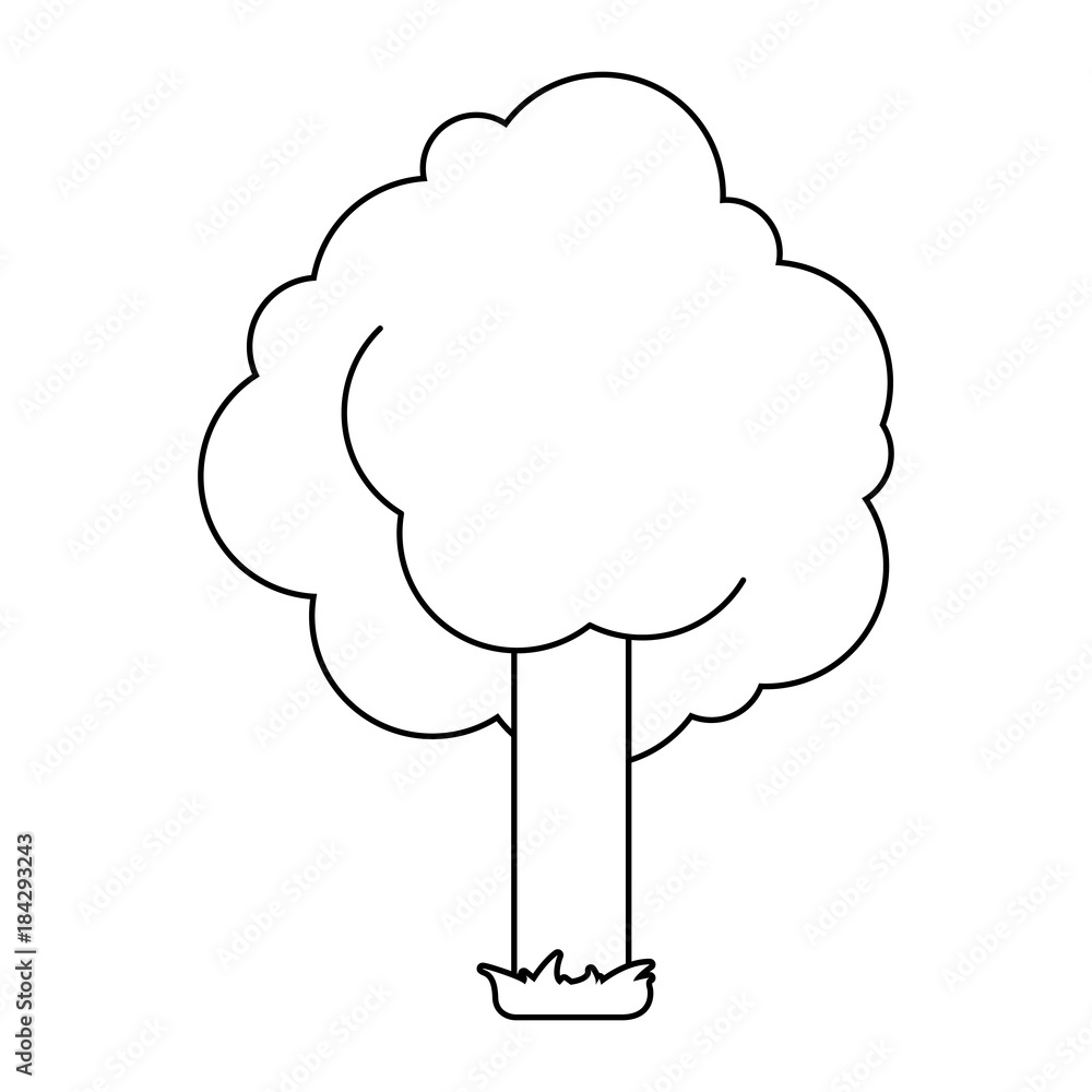 tree foliage nature trunk with grass vector illustration outline design