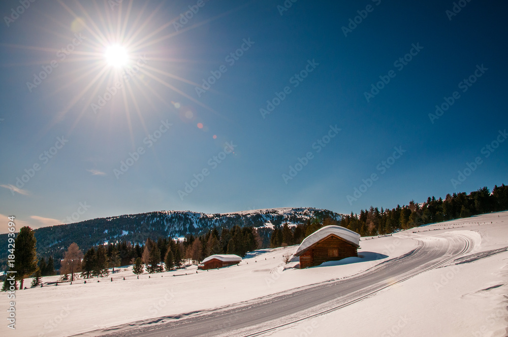 Naklejka premium Piste da sci di fondo